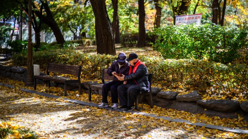 AFP__20251110__83JZ7YM__v1__MidRes__SkoreaLifestyle.jpg