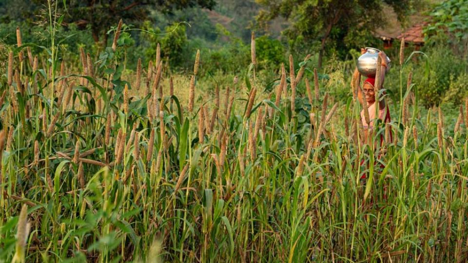 AFP__20251118__82U699H__v1__MidRes__IndiaEnvironmentWaterEducation.jpg