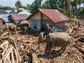 Sumatra tragedy: Calls grow for Indonesia to accept foreign disaster aid