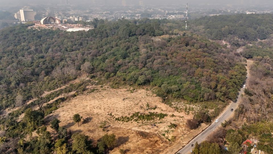 AFP__20260206__92LX2WG__v1__MidRes__PakistanEnvironmentTrees.jpg