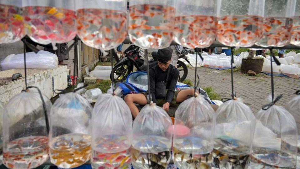 AFP__20260331__A6B69JD__v1__MidRes__IndonesiaLifestyle.jpg