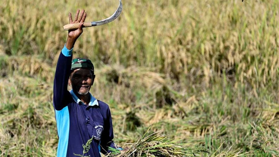AFP__20260402__A6HX3F2__v1__MidRes__IndonesiaAgriculture.jpg