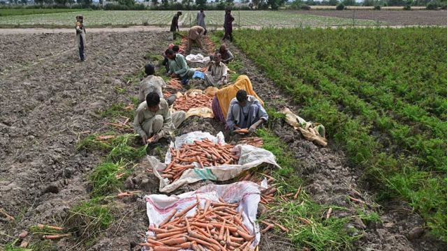 AFP__20260420__A8CU89H__v11__MidRes__TopshotPakistanWarIranUsIsraelEconomy.jpg