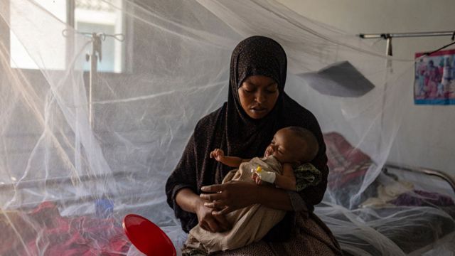 AFP__20260422__A8NE7AF__v4__MidRes__SomaliaEnvironmentConflictHealthDisplaced.jpg