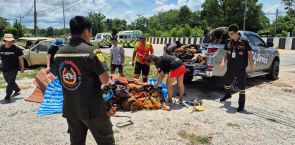 Eight monks killed, 13 injured after 11-year old allegedly crashes pickup truck into pilgrimage group in Thailand