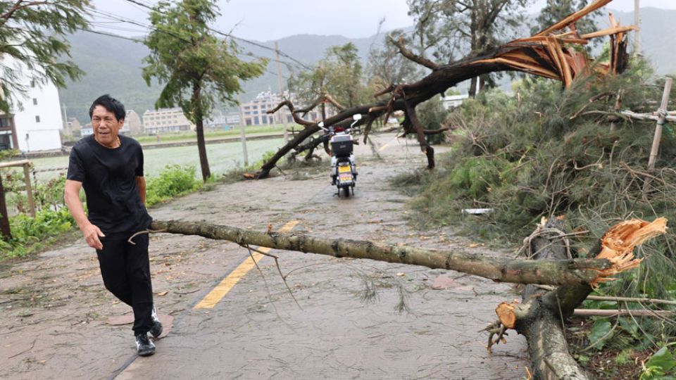 AFP__20260712__B9XT7GU__v2__MidRes__TopshotChinaWeatherTyphoon.jpg