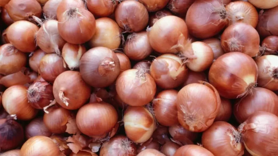 Canva-Onions-Israel-620x414-1.webp