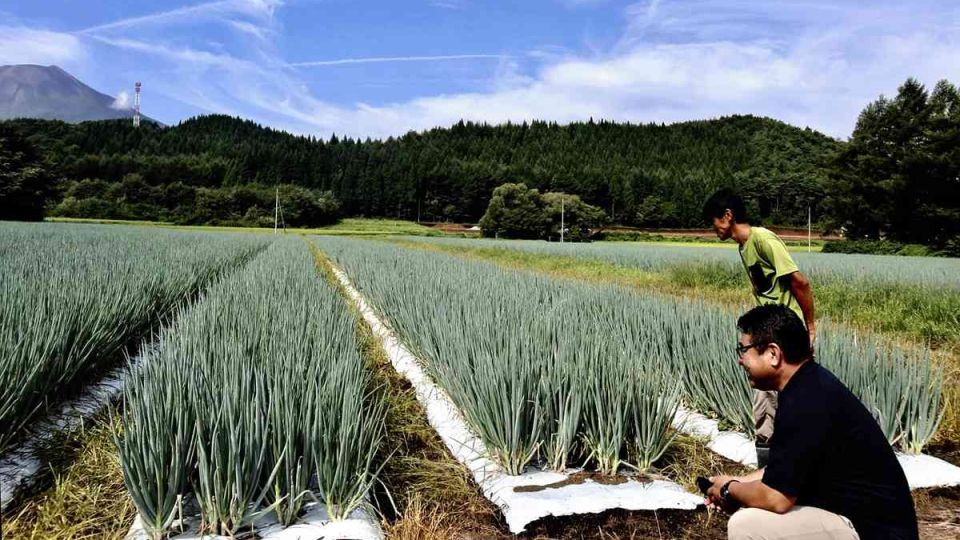 Crops-go-north-1.jpg