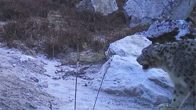 Dolakha-news-photo-06062019074622-1000x0-1.jpg