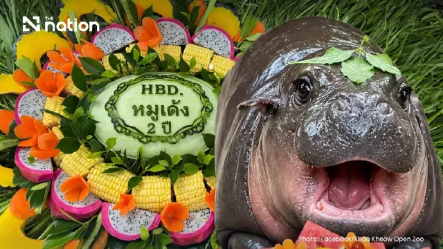 EvLnjF57cXaboRkeNv3r.webp
