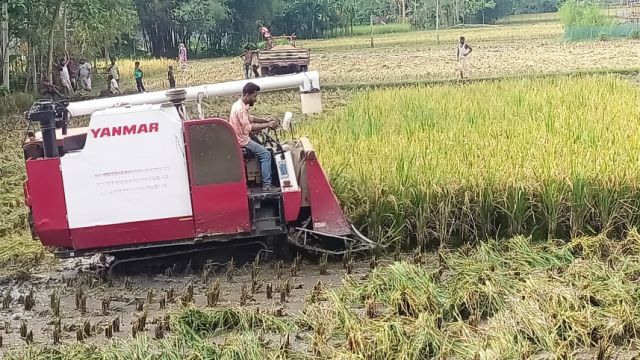 Farmers.jpg