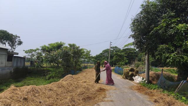 Fodder-Sylhet.jpg