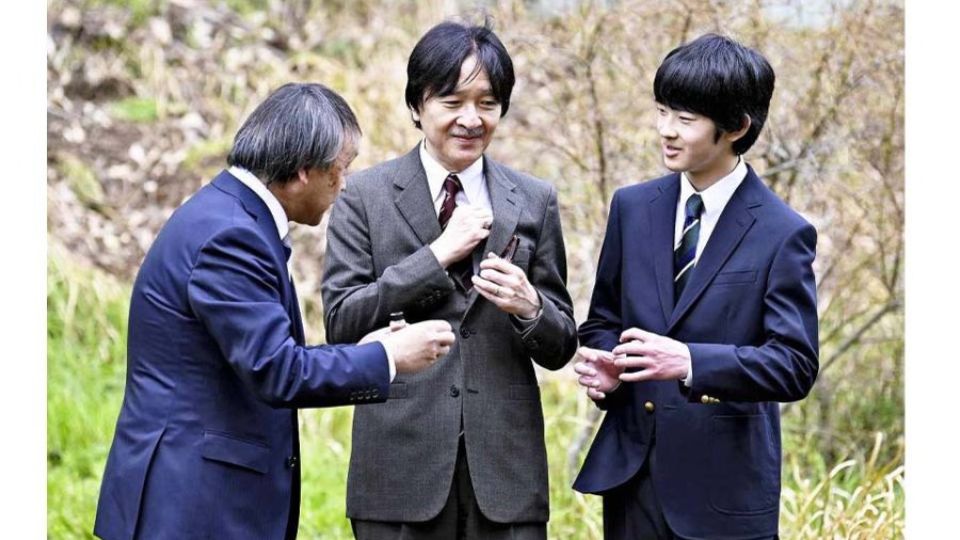 Hisahito1-1.jpg