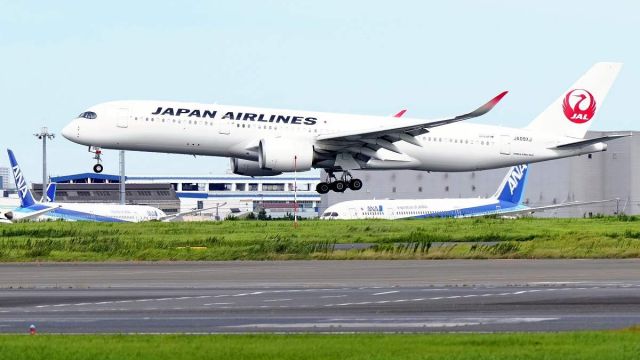 JAL-cancel.jpg