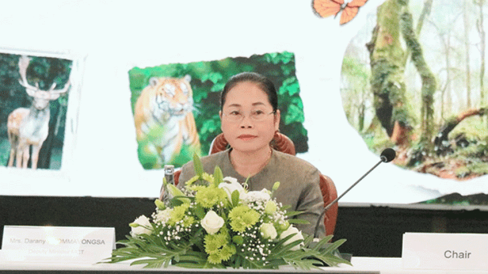 P3.gif