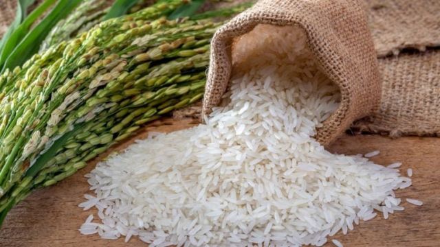 Palay-rice-stock-09102023_2-768x432-1.jpg