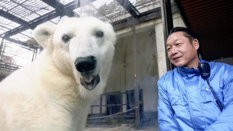 Polar-bear-1.jpg