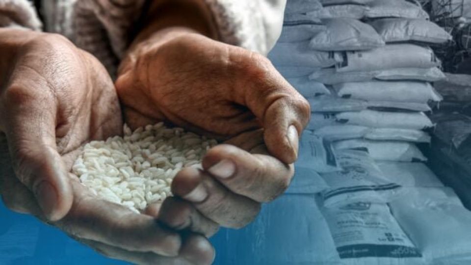 RICE-620x349-1.jpeg