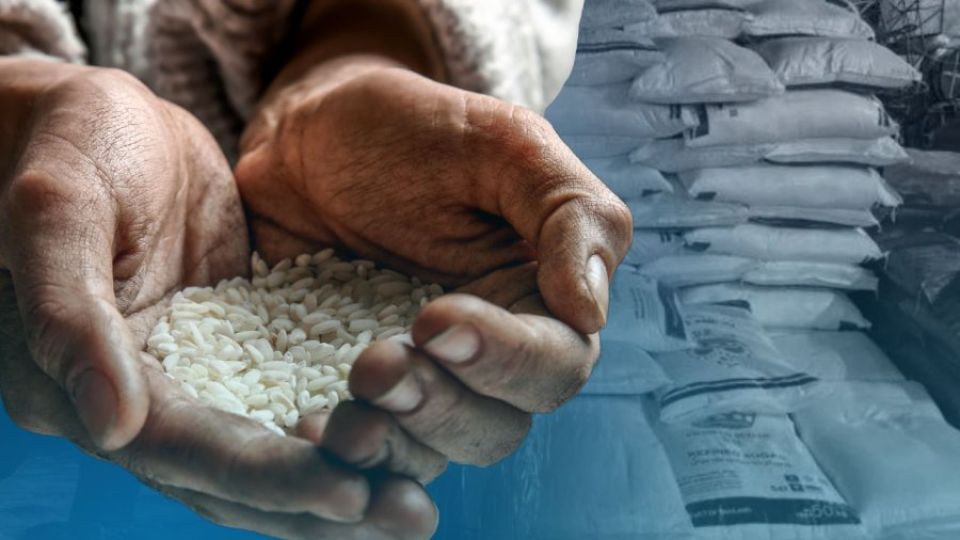 RICE.jpeg