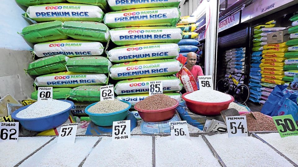 Rice-DTI-20January2025-1.jpg