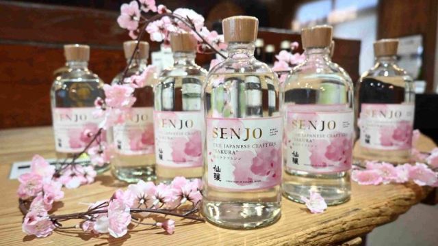 Sakura-jin-top.jpg