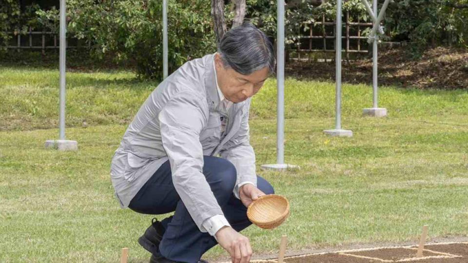 Screenshot-2024-04-19-at-09-06-03-Japanese-Emperor-Sows-Rice-at-Imperial-Palace-in-Annual-Tradition.png
