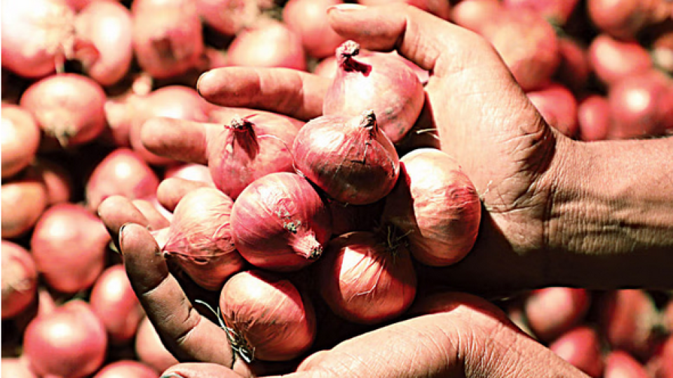 Screenshot-2024-05-10-at-10-23-59-Onion-prices-up-by-Tk10-15.png