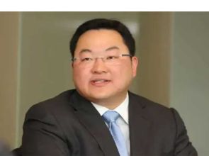Malaysia’s 1MDB’s Jho Low return claim denied
