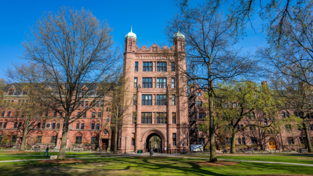 Yale-University-1536x865-1.png