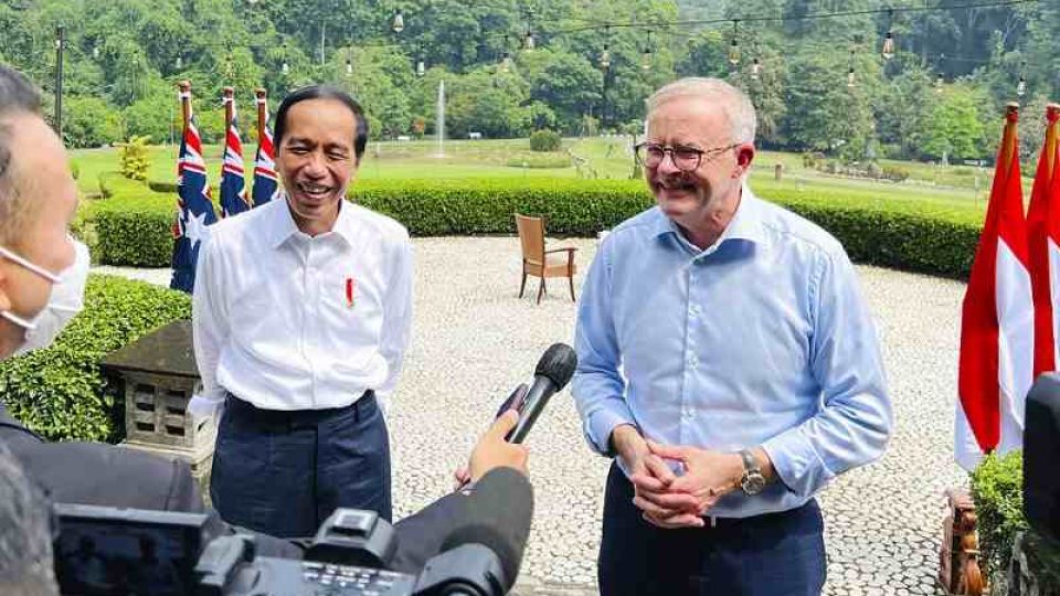 a1-2.jpg