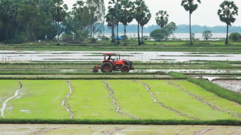 a_farmer_uses_a_tractor_to_level_a_rice_field_in_peam_ro_district_of_prey_veng_province_early_this_month._cambodia_is_pushing_for_the_modernis.jpg