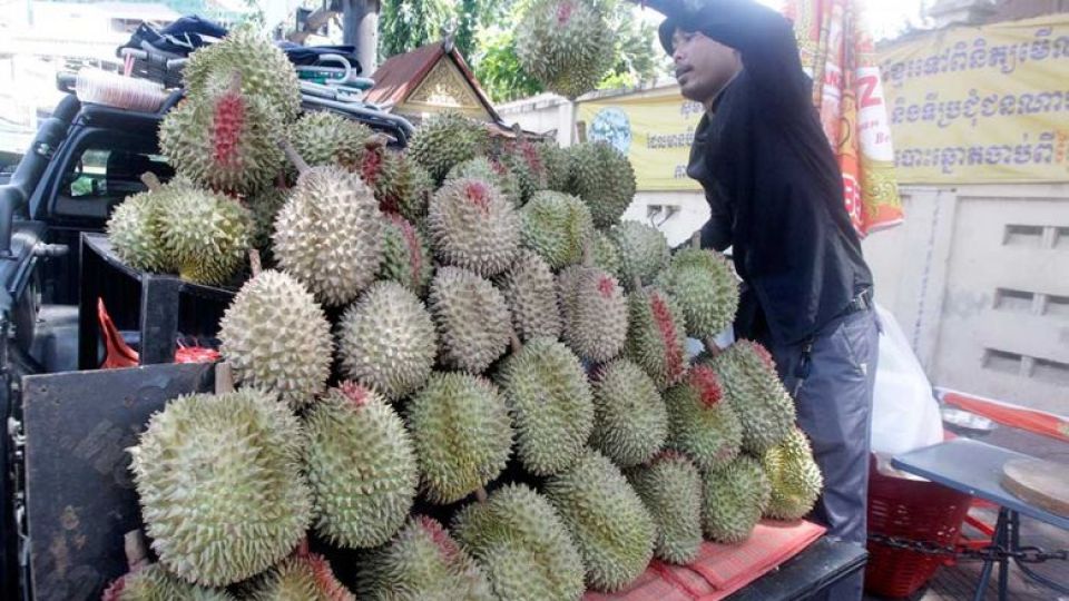 a_vendor_arranges_a_display_of_durians_for_sale_on_the_road_in_phsar_doeum_thkov_commune_of_the_capitals_chamkarmon_district_in_may._heng_chivoan.jpg