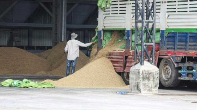 a_worker_unloads_paddy_rice_at_a_mill_in_battambang_province_on_september_11._maff.jpg