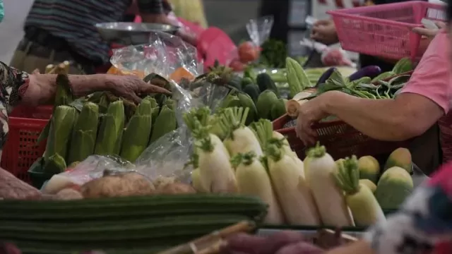 ac_veggie_241121.webp