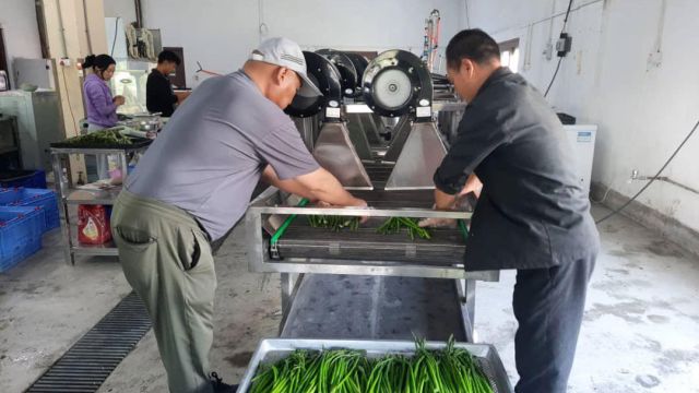 agriculture-17.jpg