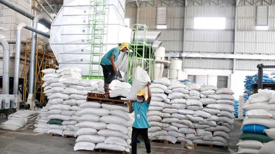 an_amru_rice_processing_facility_in_trapaing_por_village_kouk_roka_commune_prek_pnov_district_phnom_penh._heng_chivoan.jpg