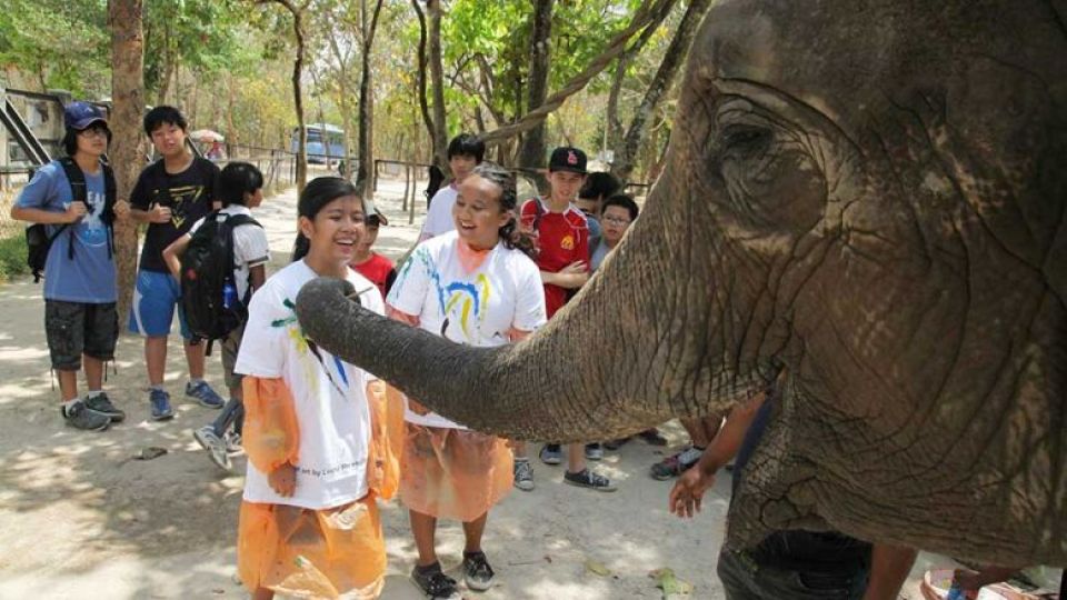 an_elephant_paints_on_a_visitors_shirt_at_phnom_tamao_zoological_park_and_wildlife_rescue_centre_in_takeos_bati_district._wildlife_alliance_cambodia.jpg