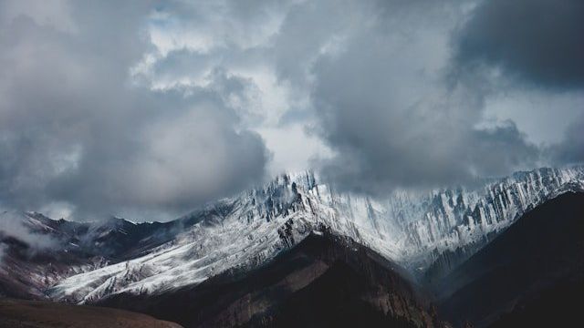 anton-van-der-weijst-c2kpQ1xmlKw-unsplash.jpg