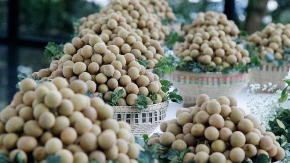 baskets_of_pailin_longan_on_display_at_an_event_marking_the_inaugural_export_of_the_fruit_to_china_on_october_27._heng_chivoan.jpg