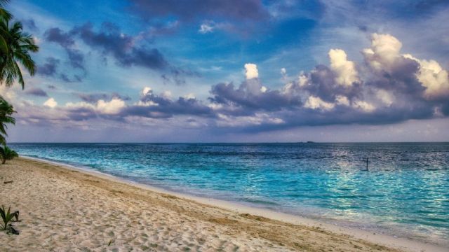 beach-4455224_1280.jpg