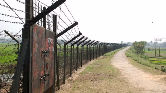 border-1.avif