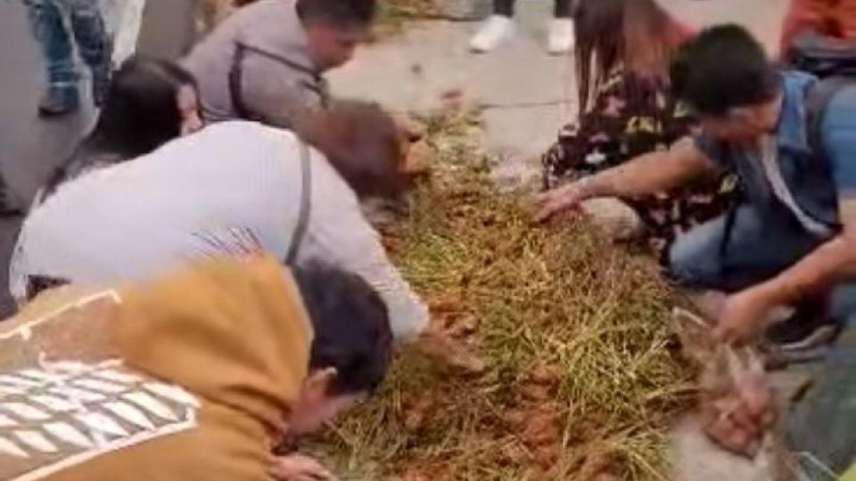 carrot-glut-in-Benguet.jpg