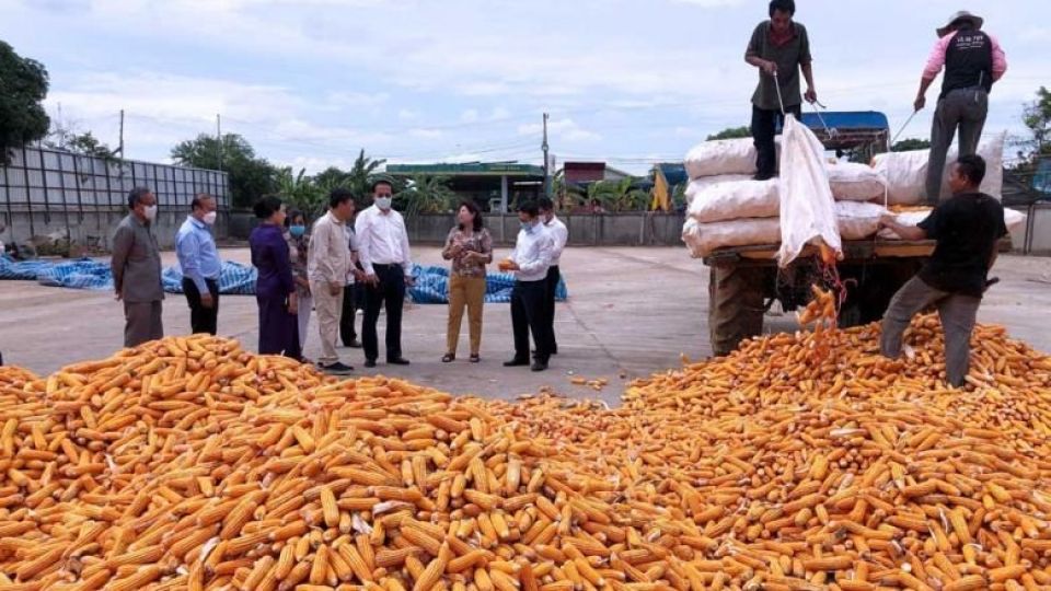 commerce_minister_pan_sorasak_visits_corn_farmers_in_pailin_province_in_july._moc.jpg