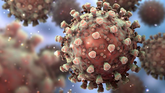 coronavirus.jpg