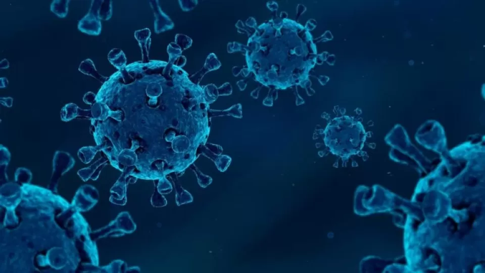 coronavirus-stock-photo-071422-768x432-1.webp