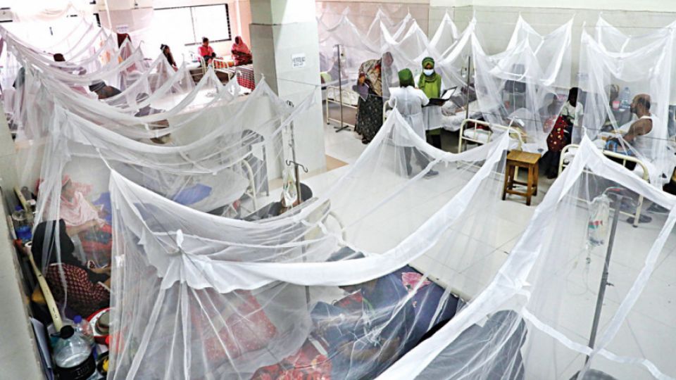 dengue_1.jpg