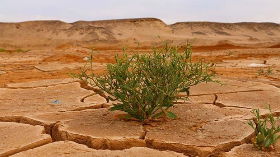 desert-4376898_640.jpg