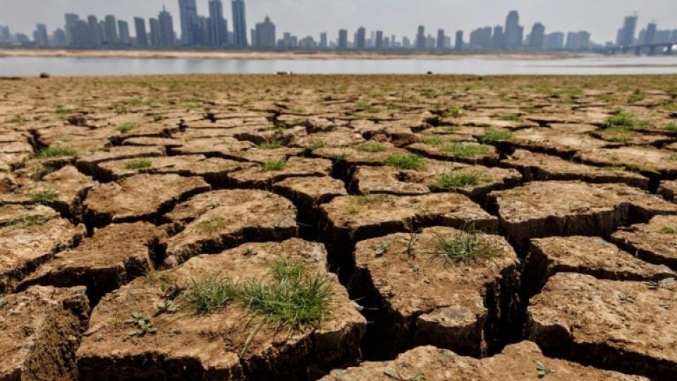 dry-lands-768x512-1.jpg