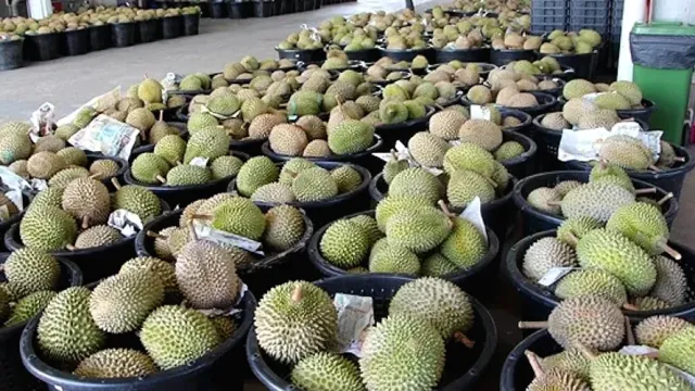 durian-1.webp