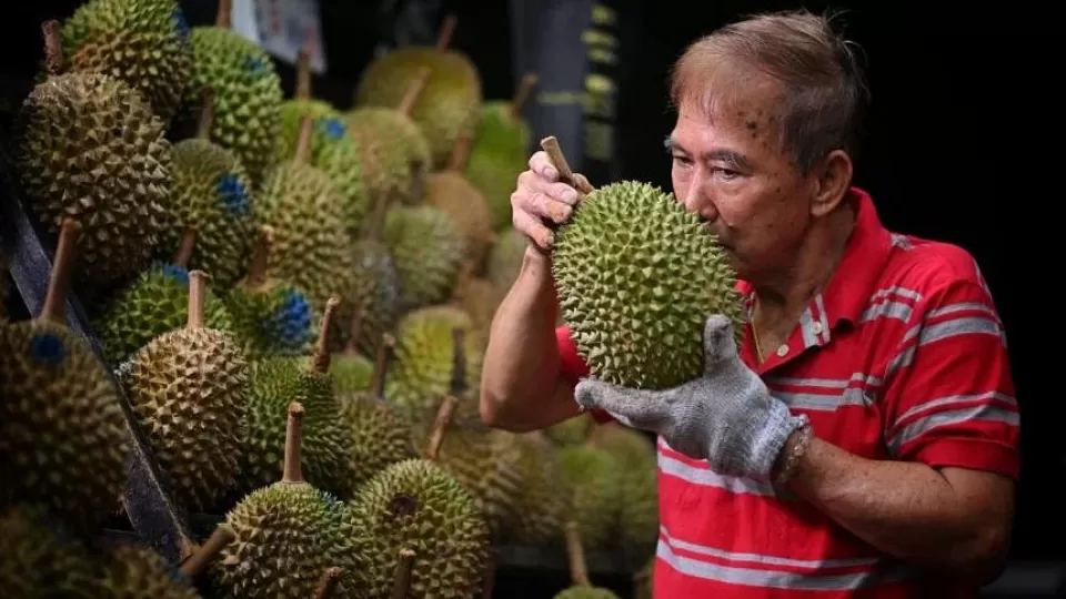 dw-durian1-221211_5.webp